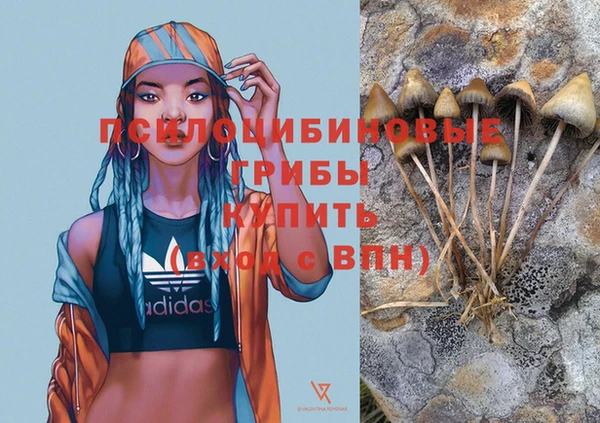 МДПВ Карталы