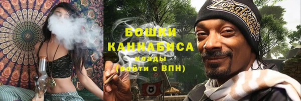 прущий лед Касимов