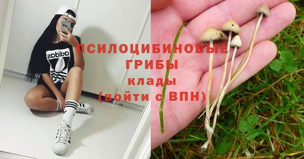дурь Киренск