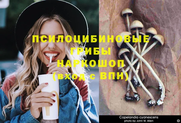 дурь Киренск